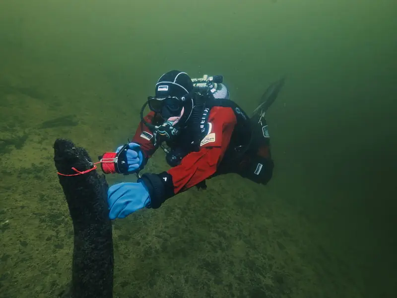 Name des Tauchkurs Alternativ