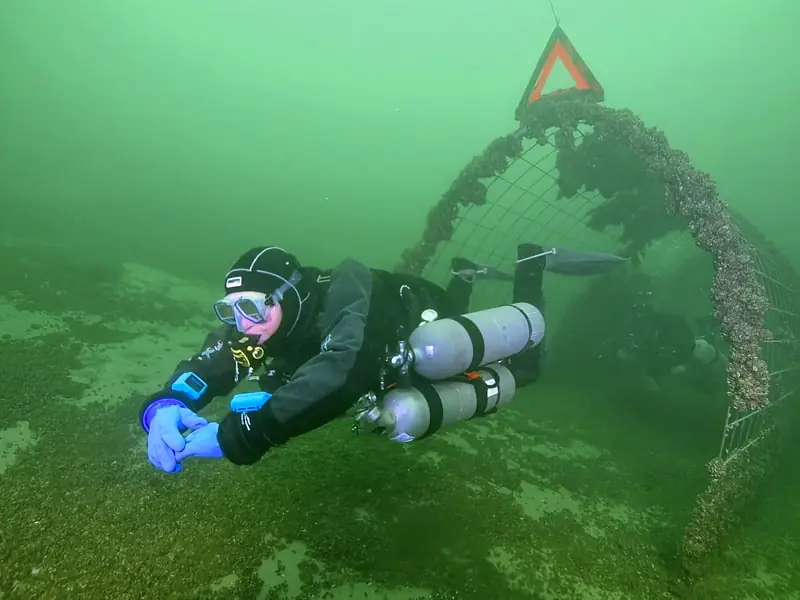 Name des Tauchkurs Alternativ